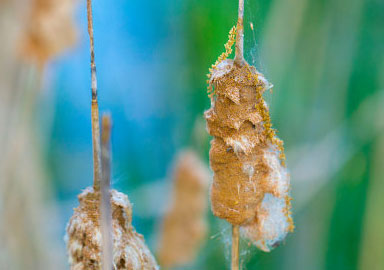 ip攻击器网页版ddos